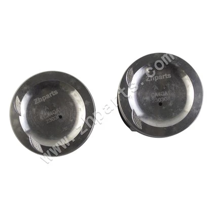 Piston avec axe et clip pour FAW V2 STD